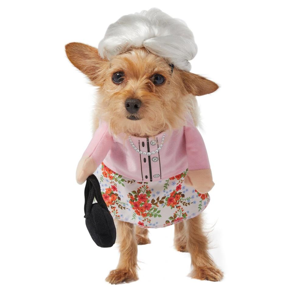 Dog wearing the FRISCO Front Walking Granny Dog & Cat Costume on a white background