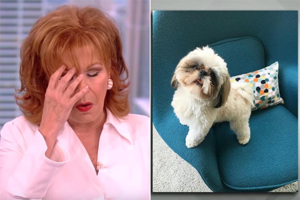 Joy Behar and dog Bernie