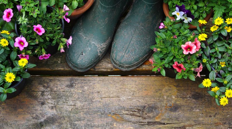 <p>To celebrate International Women's Day 2021, we have rounded up seven inspiring female gardeners to have on your radar. Whether you're looking for allotment <a href="https://www.countryliving.com/uk/homes-interiors/gardens/a20728042/best-gardening-apps-download-garden/" rel="nofollow noopener" target="_blank" data-ylk="slk:gardening;elm:context_link;itc:0;sec:content-canvas" class="link ">gardening</a> tips or want to start your own farm-to-fork veg patch, these women are making waves in all areas of horticulture and gardening.</p><p>Just a few generations ago, female gardeners were a rarity but now women are blooming in every area of the industry. From Rekha Mistry's impressive vegetables to former model Poppy Okotcha's inspiring eco <a href="https://www.countryliving.com/uk/homes-interiors/gardens/a35707684/garden-zone-ideas/" rel="nofollow noopener" target="_blank" data-ylk="slk:garden;elm:context_link;itc:0;sec:content-canvas" class="link ">garden</a>, let these leading ladies inspire your own outdoor space.</p>