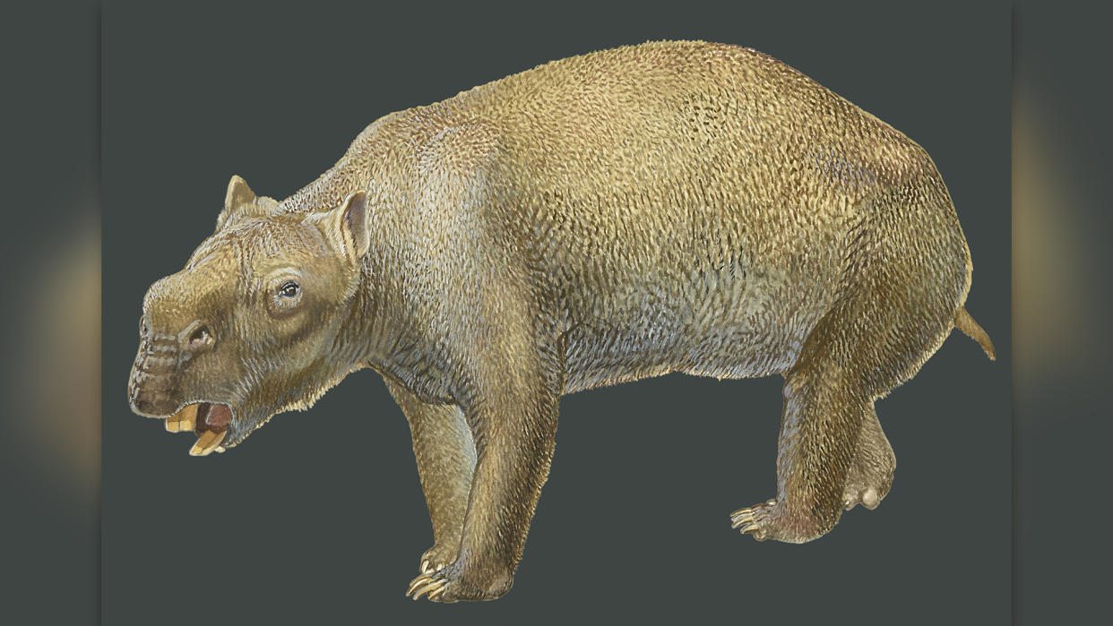  A painting of the now-extinct marsupial Diprotodon. . 