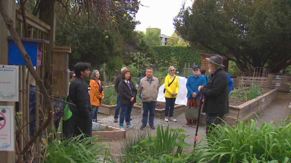 A walking tour around Yukon Street in Vancouver on Saturday showed residents some alternatives to planting traditional lawns, particularly important amid water restrictions in the area.