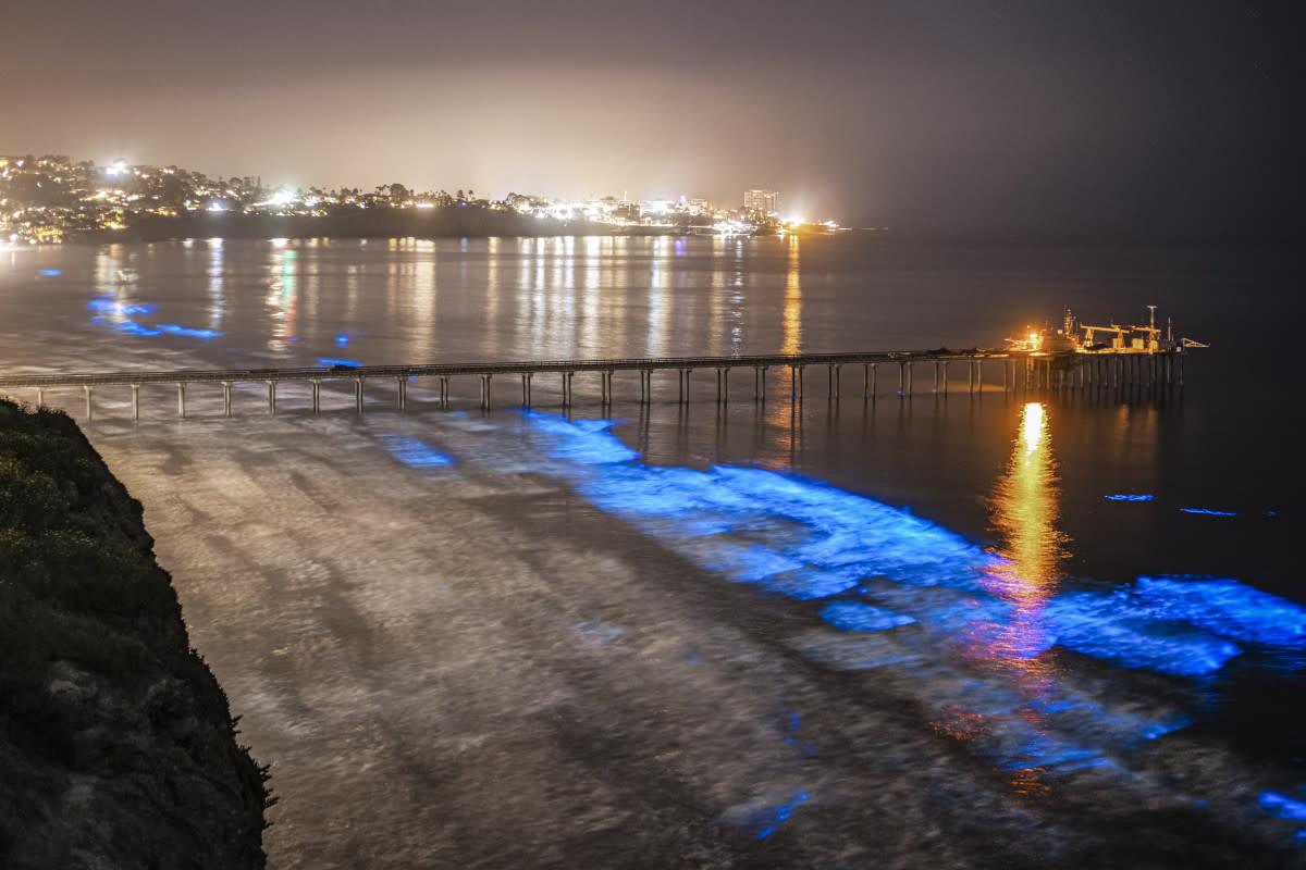 The bioluminescence of the red tide in La Jolla during April and May of 2020.<p>Kevin Key via Getty Images</p>