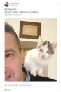 In tanti hanno seguito la proposta del Capitano ripostando l'hashtag seguito da una foto del proprio gatto