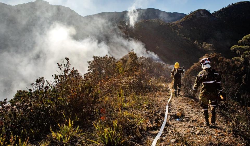 Fenómeno de El Niño en Colombia: ¿cuáles son las medidas que debe haber para mitigar su impacto?. Foto: Bomberos de Bogotá