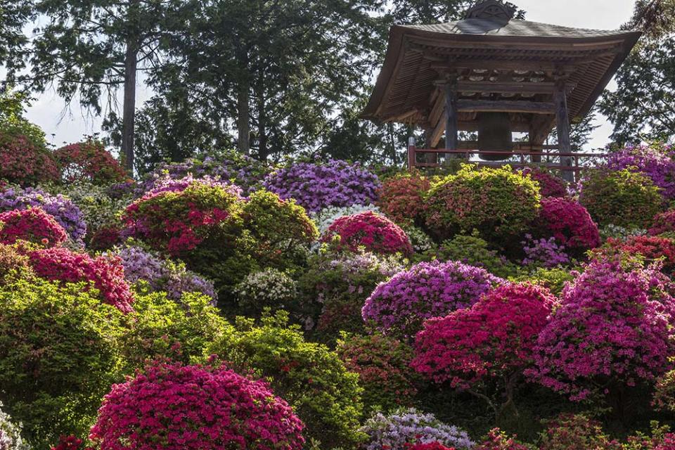 鹽船觀音寺（Photo by John S Lander/LightRocket, Image Source : Getty Editorial）