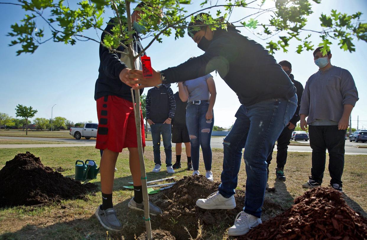 Students at Lincoln Middle School plant a tree on school grounds to celebrate Earth Day on Tuesday, April 20, 2021.