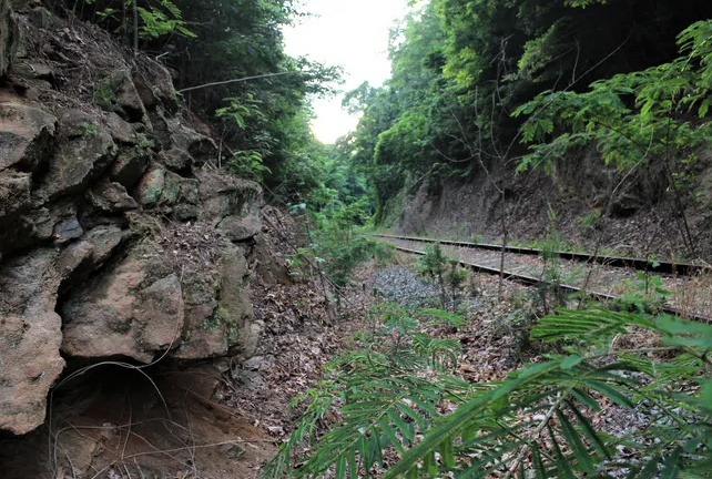 A portion of the Saluda Grade Trail rail line near Tryon, N.C.