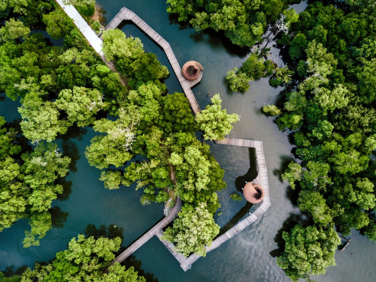 Escape the city bustle for nature-packed Pulau Ubin (Getty Images/iStockphoto)