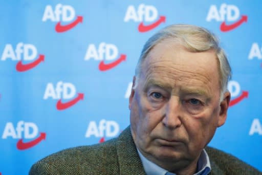 AfD co-leader Alexander Gauland says the party is being slandered