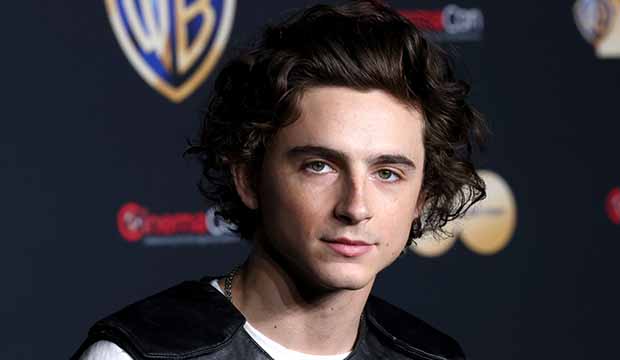 Timothée Chalamet Announces Game Of The Year At Award Show, The