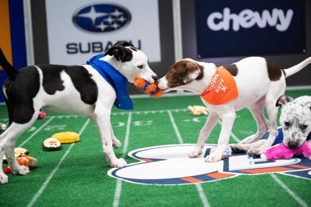 Throws a Dog a Bone in Super Bowl Ad