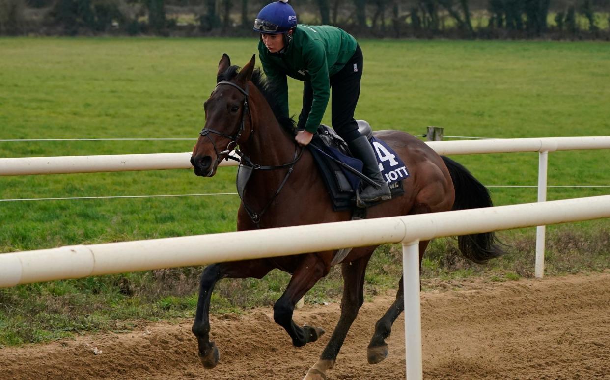 Fury Road on the gallops - Grand National 2023 runners and riders: full list of horses and weights for Aintree race - Niall Carson/PA