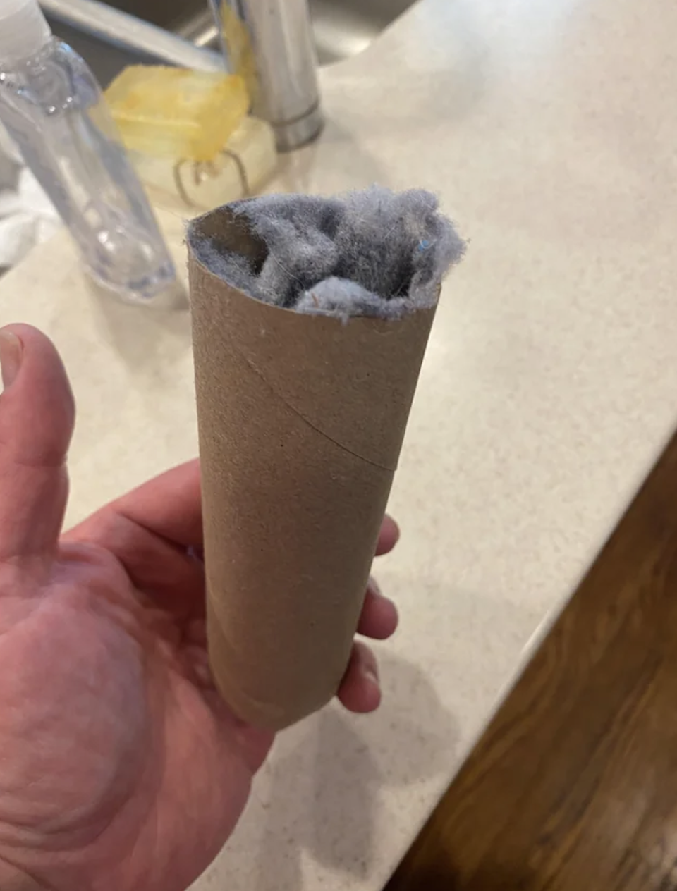 lint in a toilet paper roll