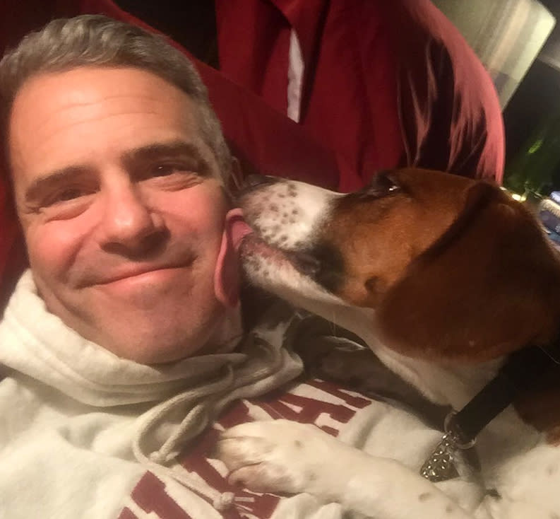 Andy Cohen