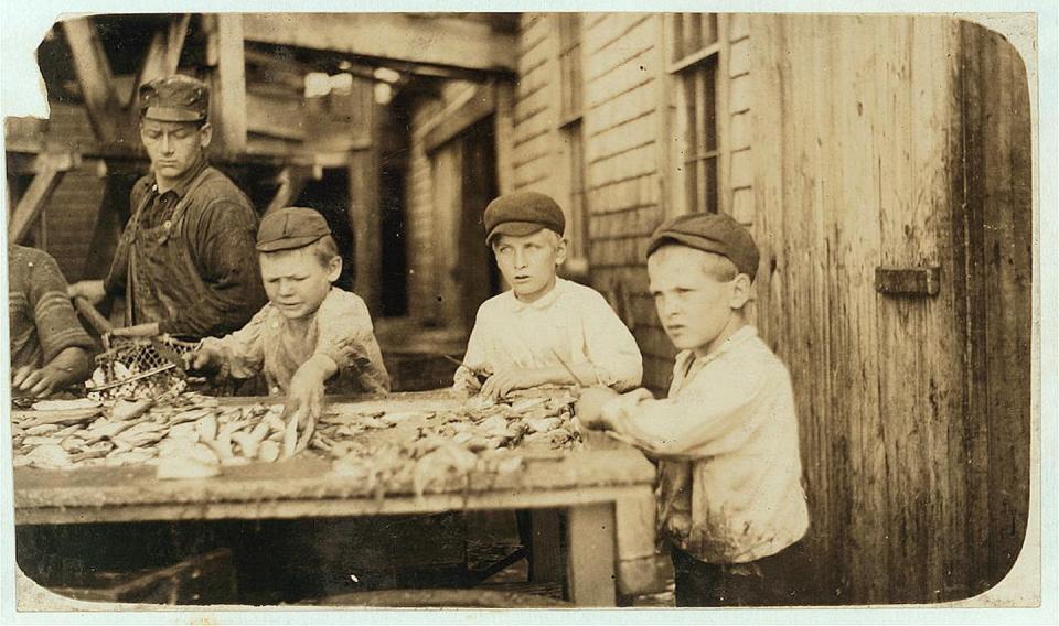 Lewis Wickes Hine’s photograph of three young fish cutters working at the Seacoast Canning Co. in Eastport, Maine. <a href="https://tile.loc.gov/storage-services/service/pnp/nclc/00900/00972v.jpg" rel="nofollow noopener" target="_blank" data-ylk="slk:National Child Labor Committee collection, Library of Congress, Prints and Photographs Division;elm:context_link;itc:0;sec:content-canvas" class="link ">National Child Labor Committee collection, Library of Congress, Prints and Photographs Division</a>