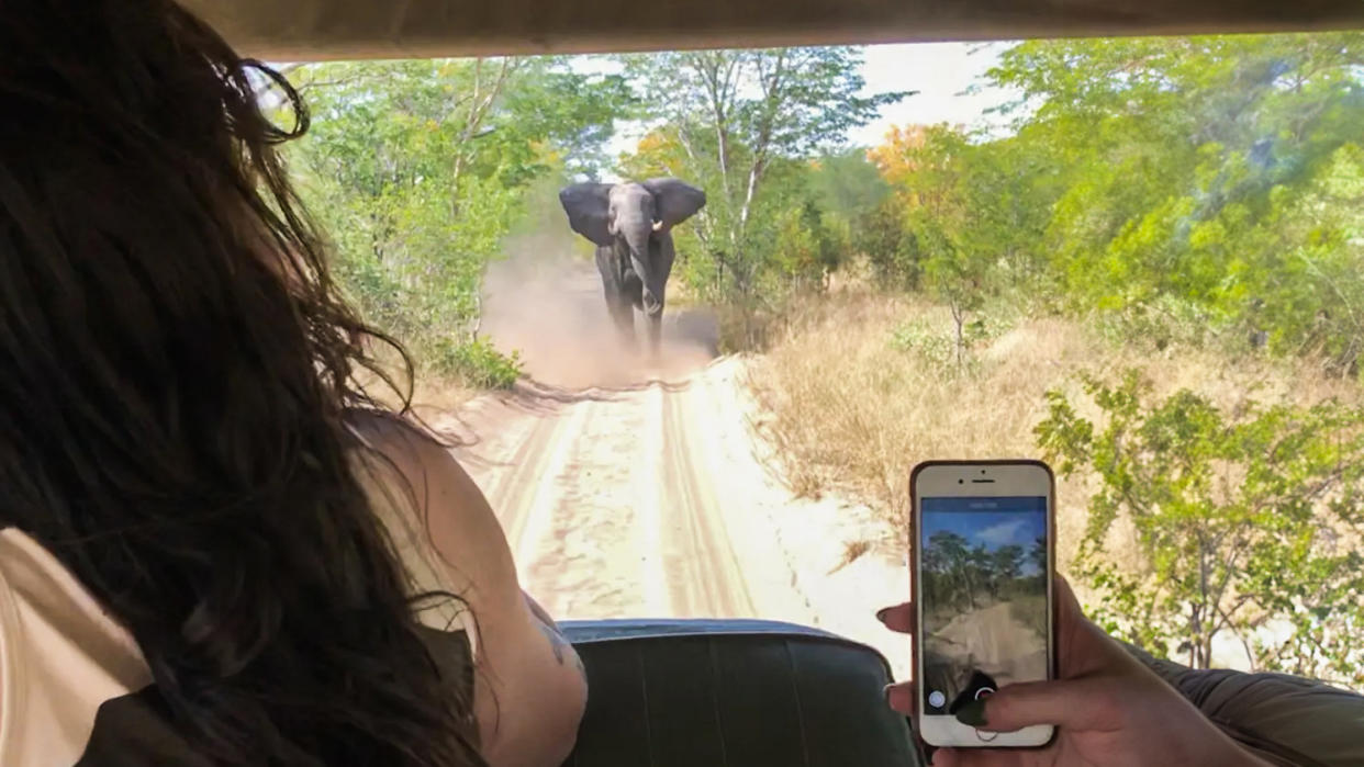  An elephant chasing down our truck during a photo safari. 