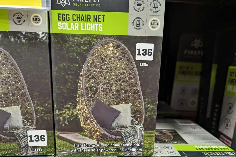 The lights cost £9.99