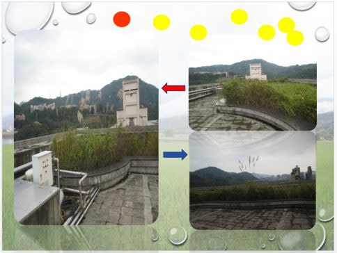 頂樓花園原本雜草叢生。（圖片提供：樟腳里辦公處）