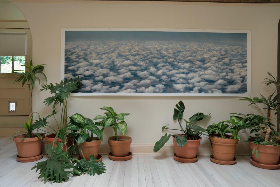 Beneath a large skylight at the top of the stairway hangs a photo from Woodman’s series on horizons—this one, shot by cell phone camera on a flight from Chicago, was inspired by Georgia O’Keeffe’s cloud paintings. “Both of us have black thumbs,” Woodman says. “It's a wonder that those plants survived.”