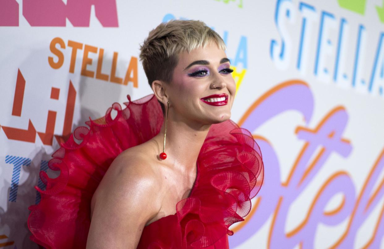 Unimpressed: US pop superstar Katy Perry: AFP/Getty Images