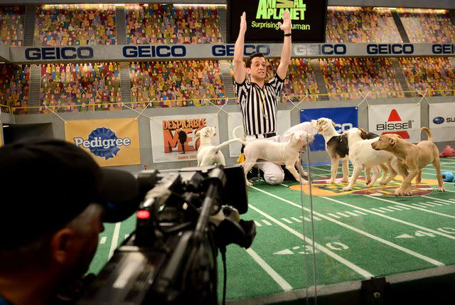 <p>Linda Davidson / The Washington Post via Getty</p> Behind the scenes at Puppt Bowl IX with referee Dan Schachner