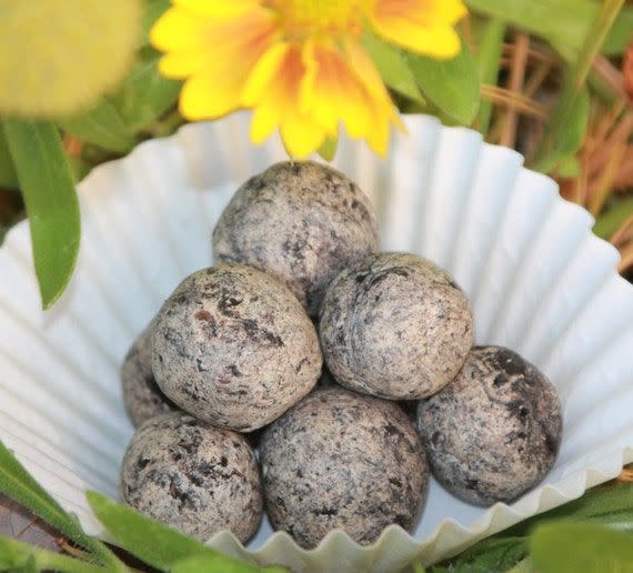 Butterfly Seed Bombs