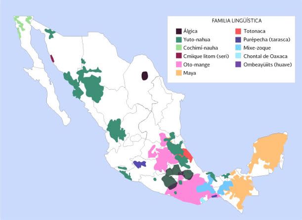 Preservar lo intangible: activistas que luchan por resguardar las lenguas  indígenas en México