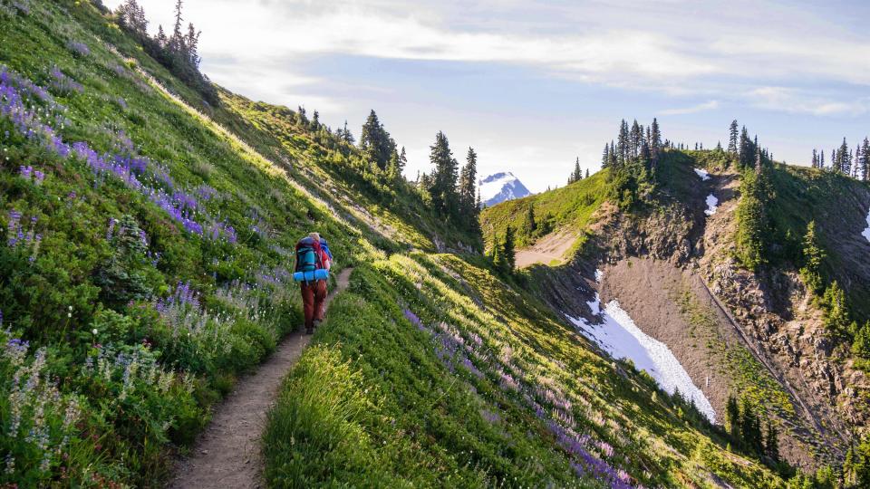 REI's four-day High Divide backpacking trip is not for the sedentary: the itinerary calls for several days of 2,000 feet of elevation gain/loss.