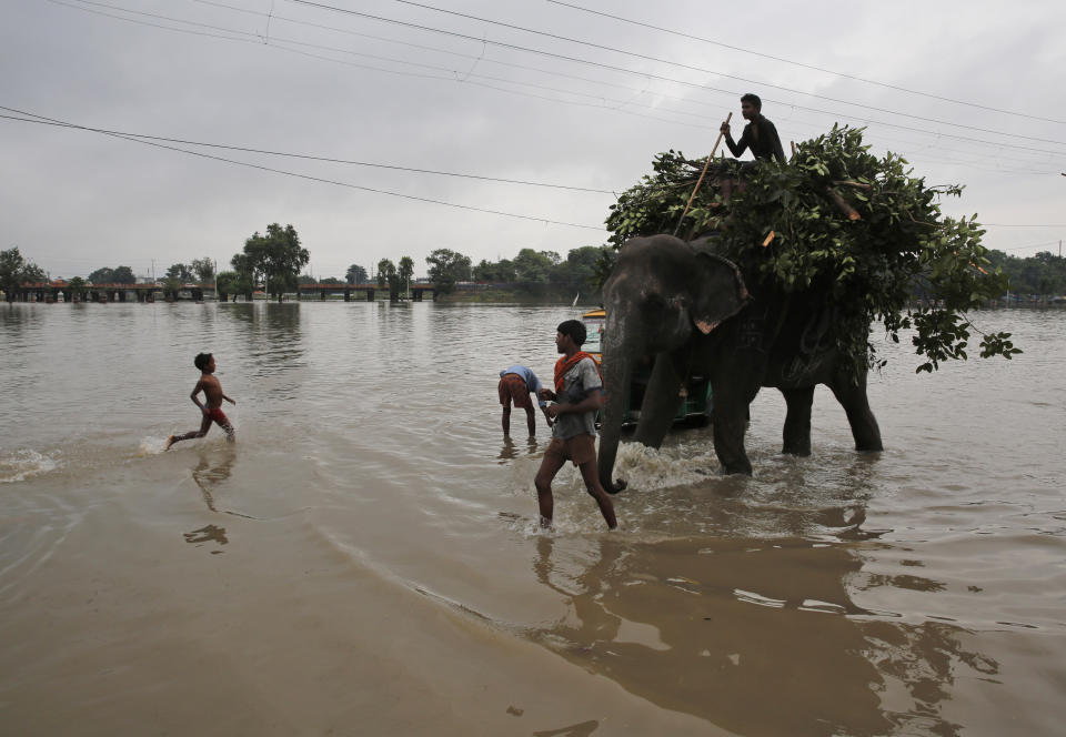 A boy runs past an elephant wading in floodwaters in Prayagraj, in the northern Indian state of Uttar Pradesh, Saturday, Sept. 28, 2019. A heavy spell of retreating monsoon rains has flooded wide areas in northern India, killing dozens of people this week, an official said Saturday. Sandhaya Kureel, a spokeswoman of the Disaster Management and Relief Department, said most of the 59 fatalities were caused by house collapses, lightning and drowning in Uttar Pradesh state. (AP Photo/Rajesh Kumar Singh)