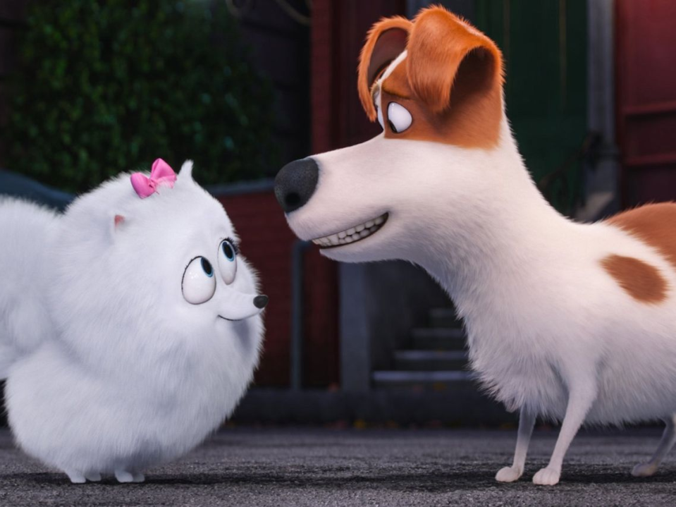 the secret life of pets universal