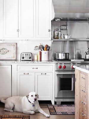 white kitchen with white dog on the floor