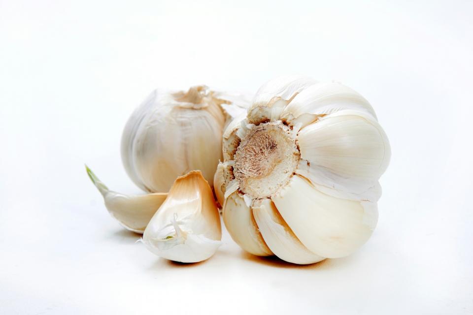 Garlic