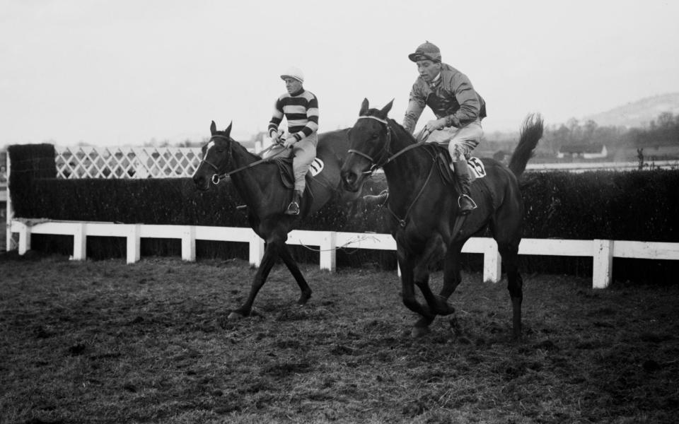 Racehorse Kerstin (right), ridden by Stan Hayhurst, and Polar Flight jumping fences at the Cheltenham Gold Cup, 18 March 1958. Kerstin won the race with Polar Flight second