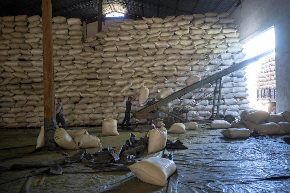 Trabajadores cargan bolsas de yerba mate seca, conocida como yerba "canchada", en la Cooperativa Andresito en Andresito, en la provincia argentina de Misiones, el jueves 18 de abril de 2024.Durante décadas, el gobierno argentino ha apoyado la industria con controles de precios y subsidios, pero para resolver la crisis financiera de Argentina, el presidente Javier Milei busca eliminar las regulaciones que afectan a distintos mercados, incluido el de la yerba mate. (AP Foto/Rodrigo Abd)