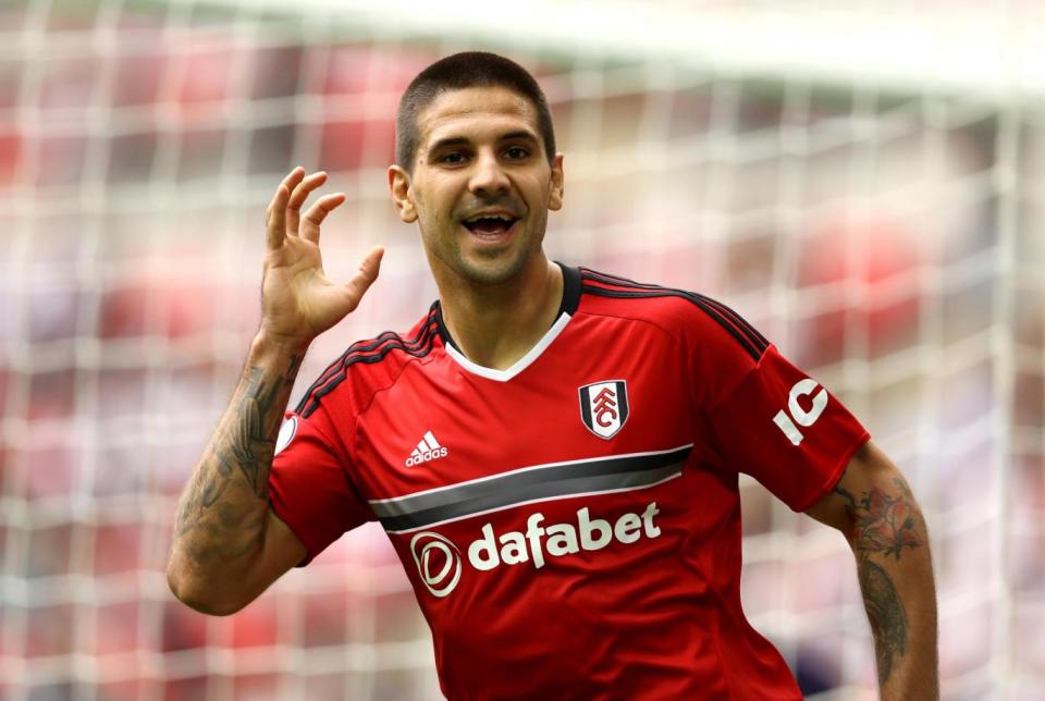 On target: Mitrovic celebrates Fulham's first Premier League goal since 2018 (Getty Images)