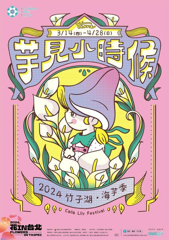 2024陽明山「海芋季」將在3月14日白色情人節登場，遊客可以趁著春暖花開的季節，上山踏青、採海芋。   圖：取自台北市政府官網