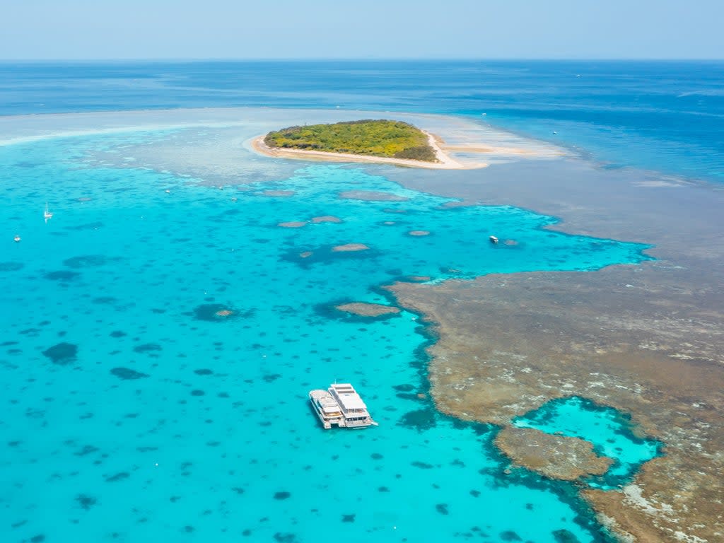 Guests at Lady Musgrave HQ wake up to unbeatable seascapes (Bundaberg Tourism )