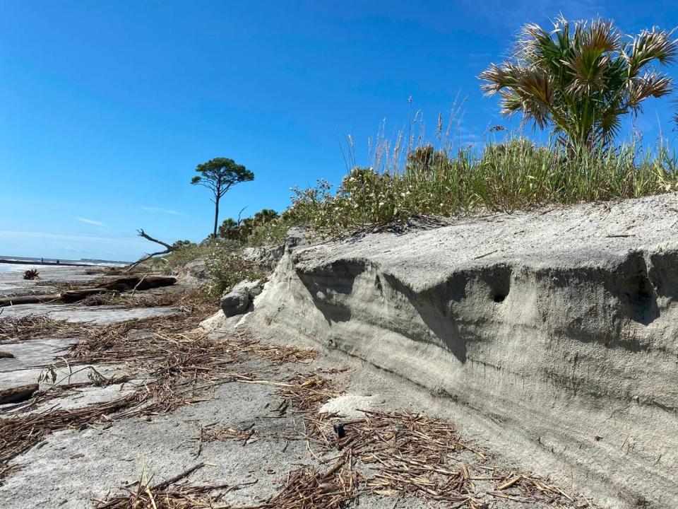 Dune erosion facing Hunting Island’s south beach near Beach Access #1 post-Tropical Storm Idalia in Beaufort County, South Carolina, on Friday, Sept. 1, 2023.