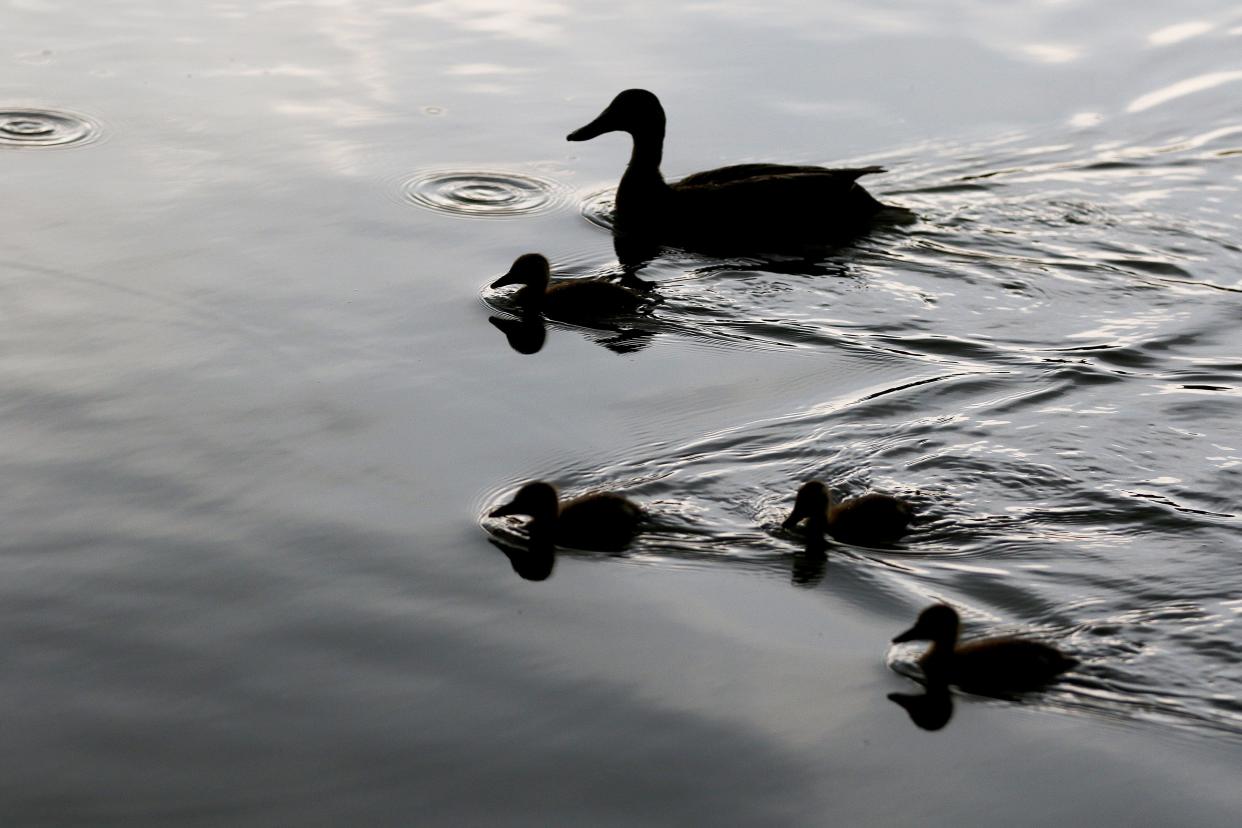 Brookeville Lake at Mounds State Recreation Area is closed to swimming after a water test found unsafe levels of E. coli.