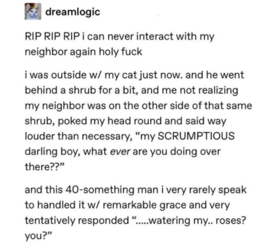 person who thought they were talking to a cat but were talking to their neighbor