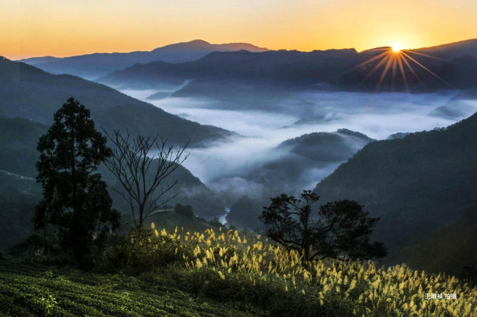 南山寺觀景平台金芒與日出(圖片來源：坪林區公所)