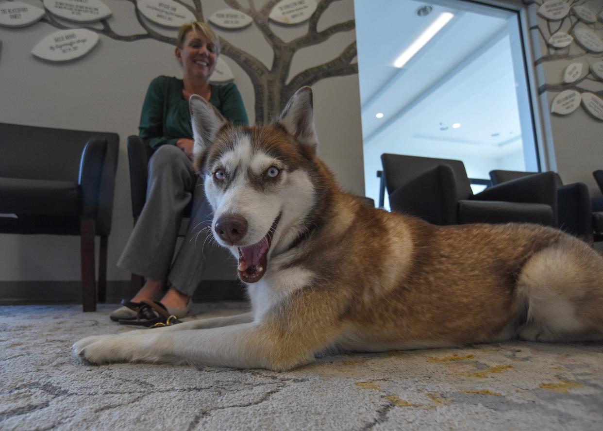 The Children’s Advocacy Center's therapy dog Autumn, a Siberian Huskey, sits in the lobby with her handler Wanda Eckhoff, a victim's advocate with the State Attorney's Office, on Friday, Nov. 17, 2023, in St. Lucie West. Autumn serves as a comfort dog to greet children as soon as they come in to the CDC office. CDC officials learned they are facing a budget cut from a grant awarded by the federal Victim s of Crime Act of 1984.