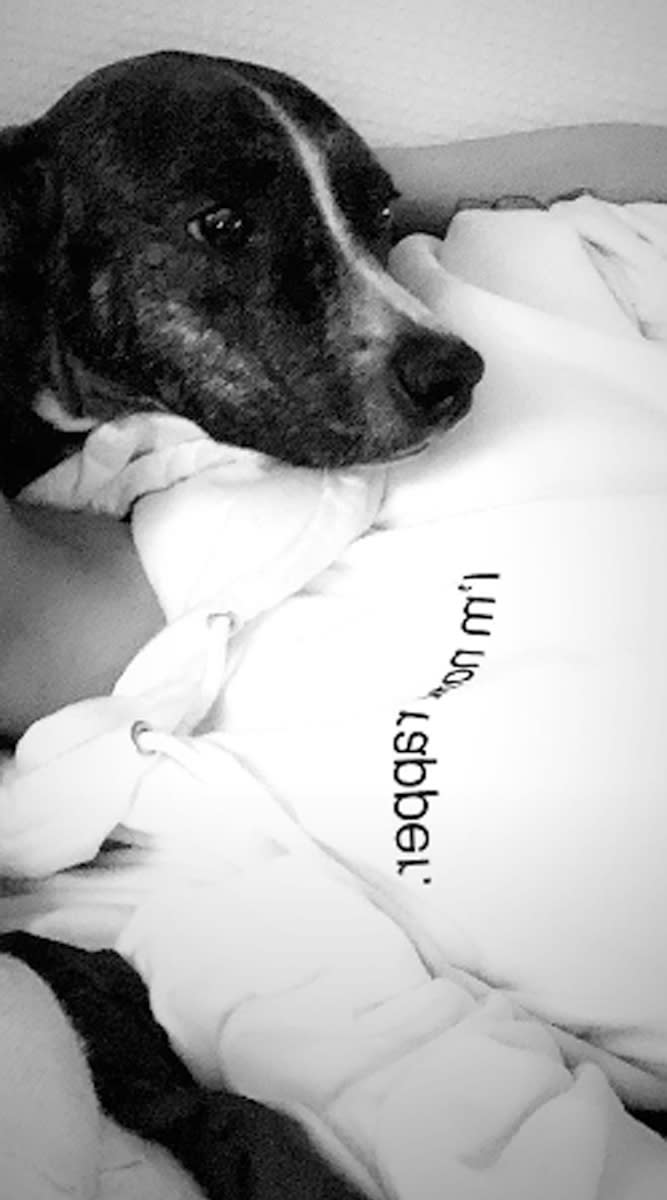 Ariana Grande Spends the Night with Mac Miller’s Dog Myron