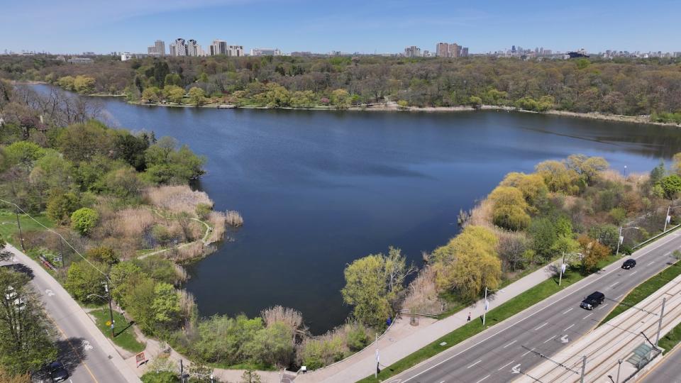 A drone image of Grenadier Pond in High Park, where a large number of dead fish has been reported. 