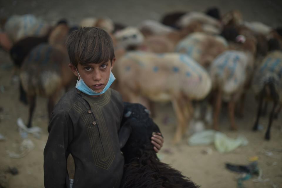 A boy holds a sheep as he waits for customers at a livestock market ahead of the Eid al-Adha Muslim festival on the outskirts of Kabul on Aug. 30, 2017.