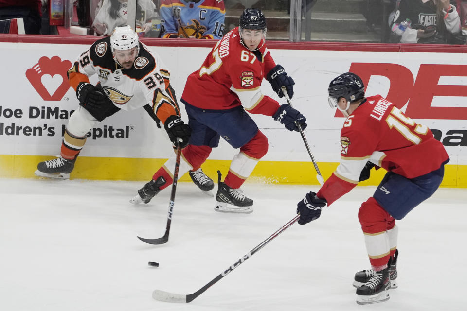 Anaheim Ducks center Sam Carrick (39) attempts to pass the puck as Florida Panthers center Anton Lundell (15) defends during the first period of an NHL hockey game, Monday, Jan. 15, 2024, in Sunrise, Fla. (AP Photo/Marta Lavandier)