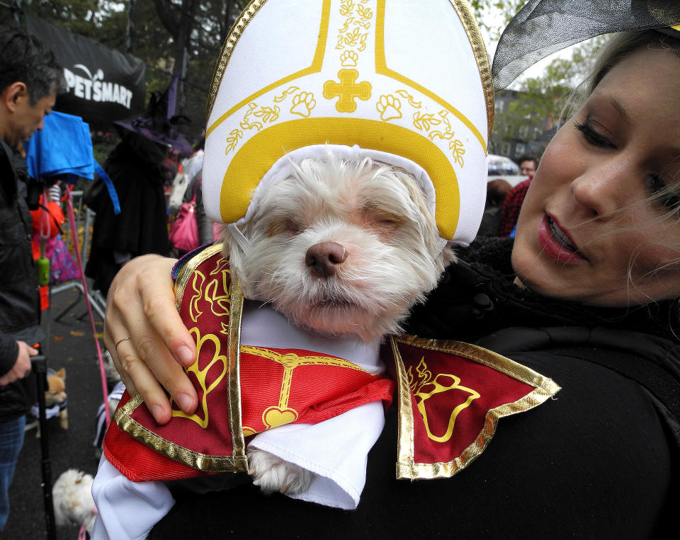 New Yorkers show costumed dogs for Halloween