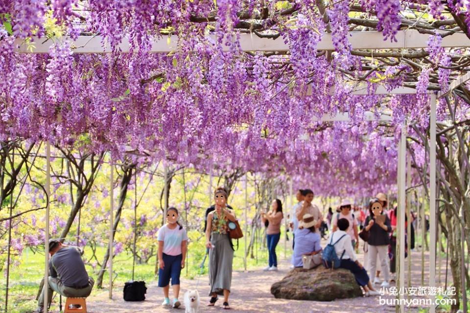 淡水紫藤咖啡園二店水源園區