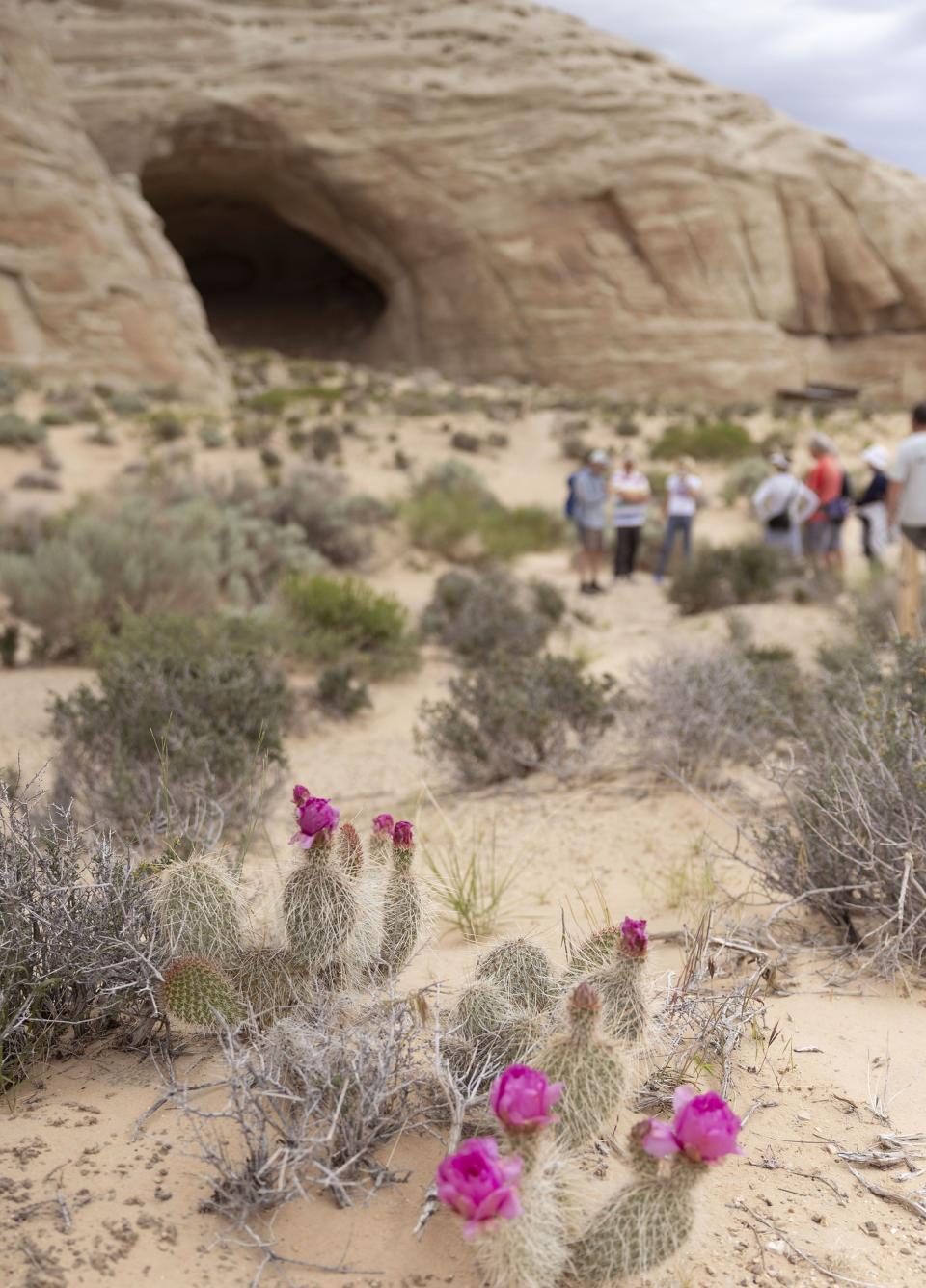 Guests hike to Broken Arrow cave at Amangiri in Canyon Point, Utah, on Wednesday, May 17, 2023. | Laura Seitz, Deseret News