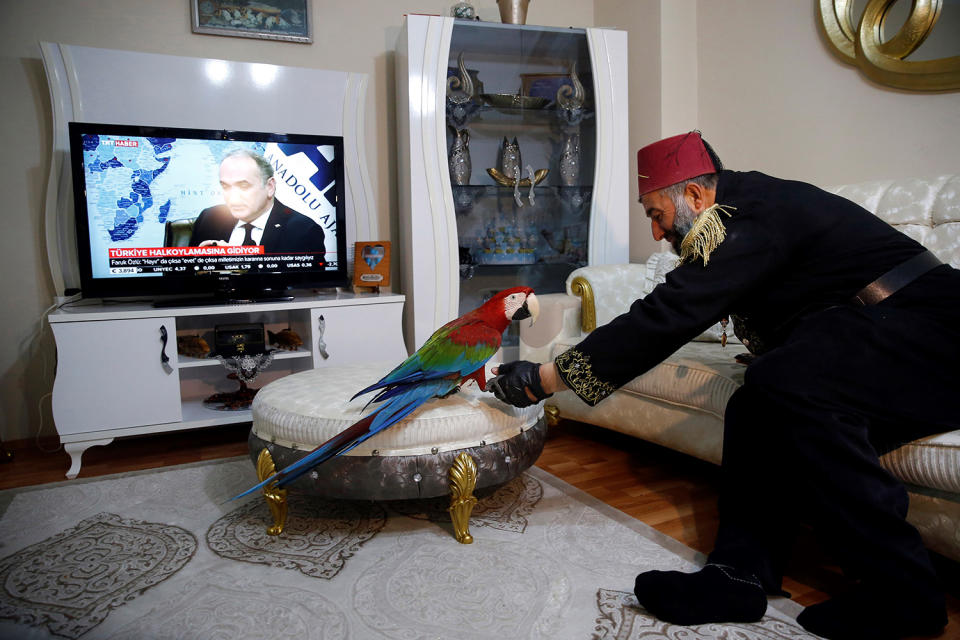 Life with a parrot in Istanbul